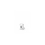Charm Pandora Dino il Dinosauro 798123 [241d9551]