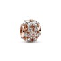Charm Pandora Herbarium fiori luminosi 782383C01 [a5a9cfa9]