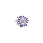 Charm Pandora  Moments Margherita Viola Argento Zirconia Cubica Donna 798775c02 [84777d3d]