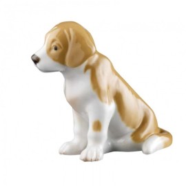 Statuina Royal Copenhagen Cucciolo San Bernardo [def37c24]
