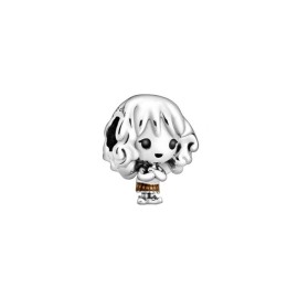 Charm Pandora Hermione Granger Harry Potter [d39ad254]