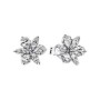 Orecchini Pandora Herbarium fiori luminosi con sfere 292633C01 [275ccca9]