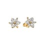 Orecchini Pandora Herbarium Fiori Luminosi con Sfere 262633C01 [8b8a2961]