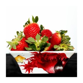 Ciotola Milleusi Taitù Emotion [8d8d883a]