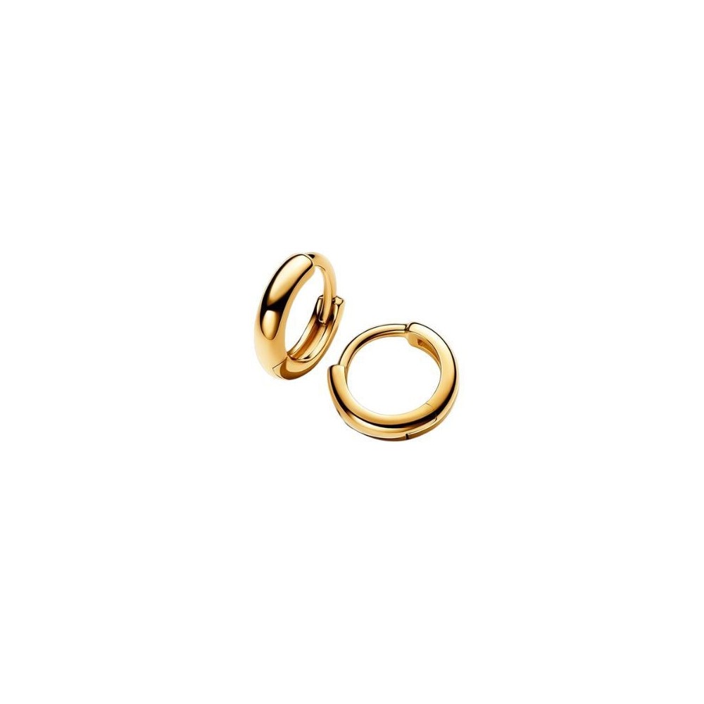 Orecchini Cerchi Huggie Piccoli Pandora 263286C00 [fd5da5ac]