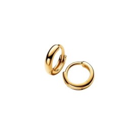 Orecchini Cerchi Huggie Piccoli Pandora 263286C00 [fd5da5ac]