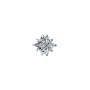 Charm Stella Polare Luminosa Pandora 793591C01 [00d490d6]