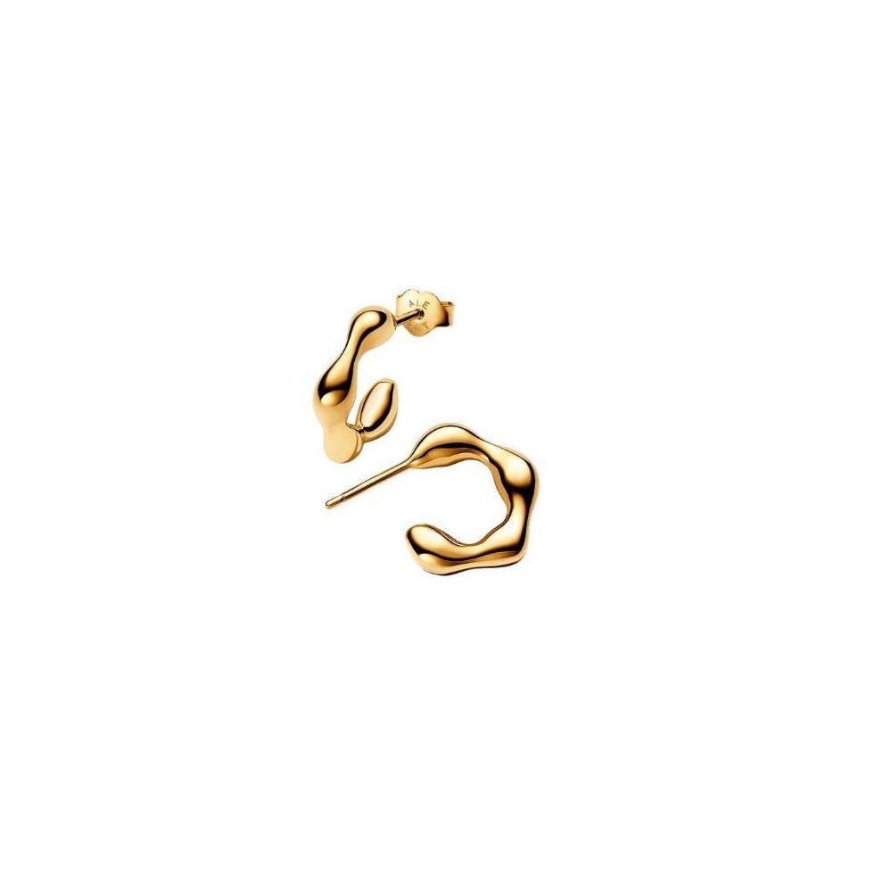 Orecchini Cerchi Aperti Linea Sinuosa Pandora 263269C00 [bcccff15]