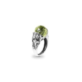 Anello stagione Primavera Gerardo Sacco [e786a0c9]