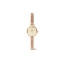 Orologio Petite Mini Champagne Melrose Daniel Wellington [f0a04ec3]