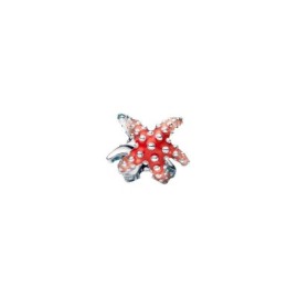 Charm Stella Maria Colorata Pandora 793817C01 [3c64c09a]