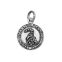Charm Medaglia della Fortuna [2bcddae2]