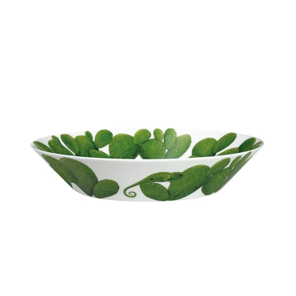 Ciotola grande Collezione di cactus [38486527]