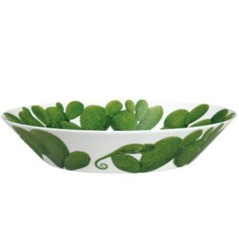 Ciotola grande Collezione di cactus [38486527]