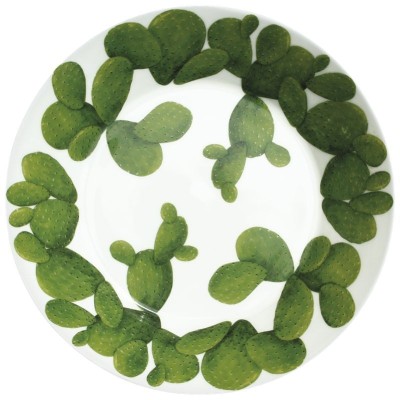 Ciotola grande Collezione di cactus [e16e262a]