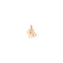 Charm Drago Dodo [24be1d6b]