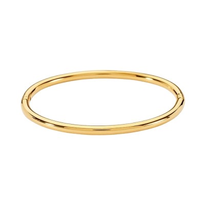 Bangle Radiance Acciaio Dorato [077648fe]