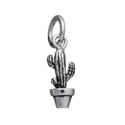 Charm Cactus [5bce99e2]