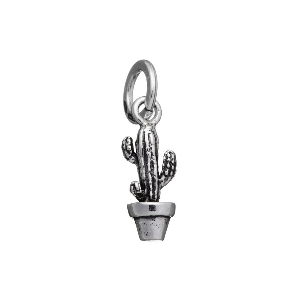 Charm Cactus [5bce99e2]
