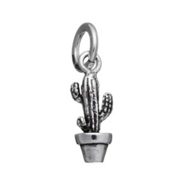 Charm Cactus [5bce99e2]