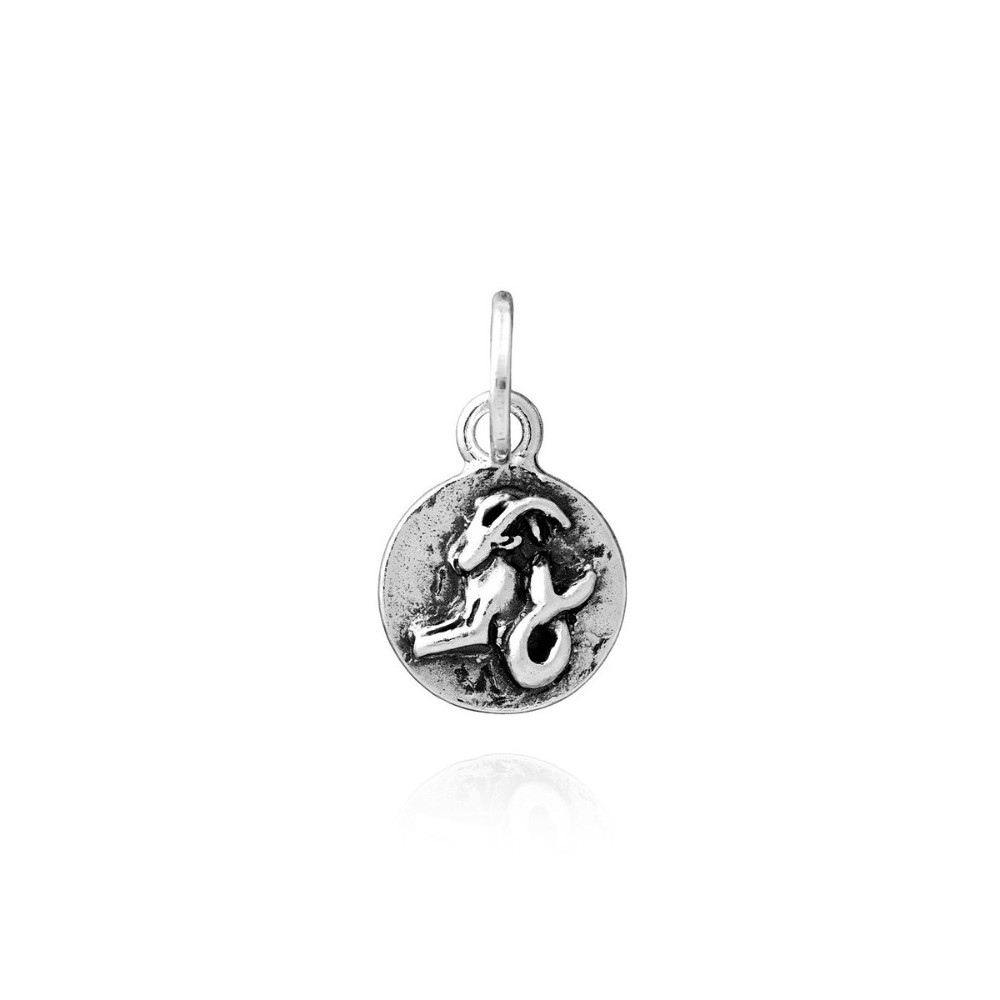 Charm Capricorno Zodiaco [57994e6e]