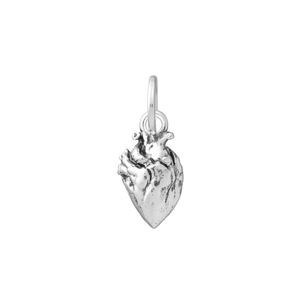 Charm Cuore Anatomico [4b2b2c69]