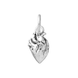 Charm Cuore Anatomico [4b2b2c69]