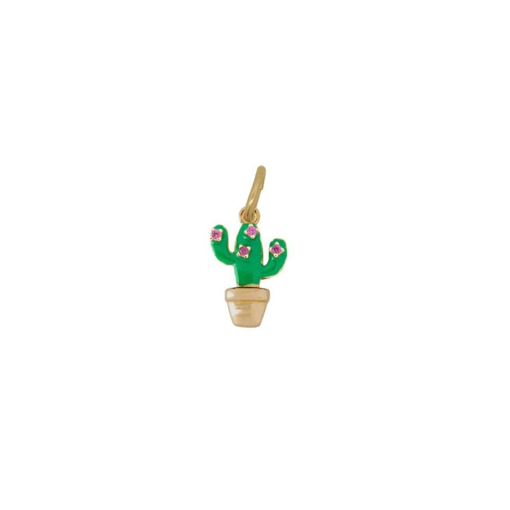 Charm Cactus [c15cf0aa]