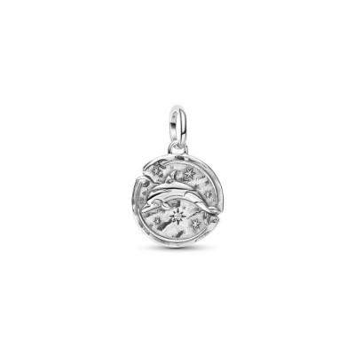 Charm Medallion Delfino Audaces Fortuna Iuvat [6dd78386]