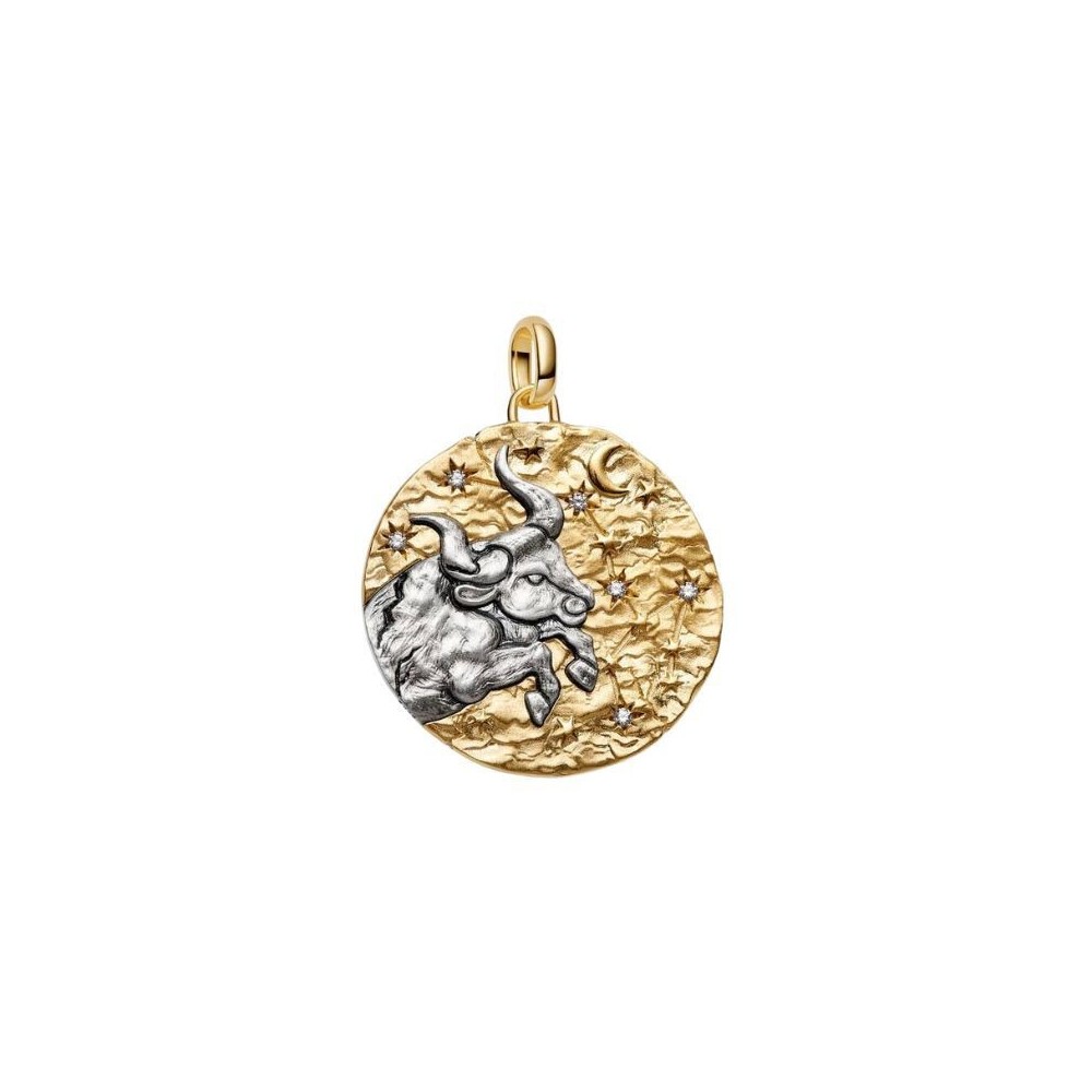Charm Medallion XL Toro Fortitudo Animi [9ffd21b6]