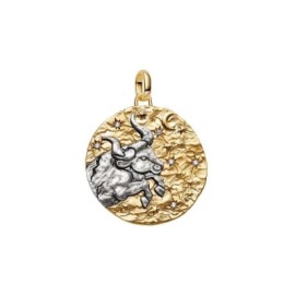Charm Medallion XL Toro Fortitudo Animi [9ffd21b6]