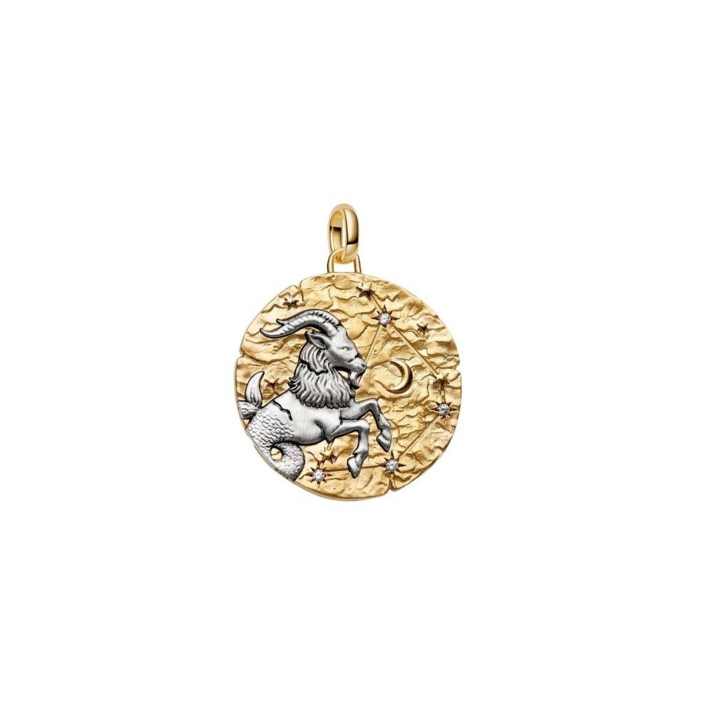 Charm Medallion XL Capricorno Nihil Difficile Volenti [160848b4]