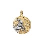 Charm Medallion XL Capricorno Nihil Difficile Volenti [160848b4]