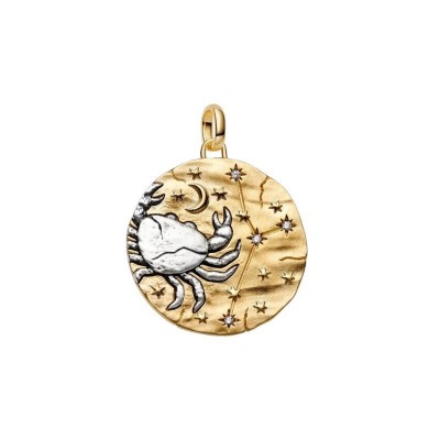 Charm Medallion XL Cancro Intuitio Animi [3c875ebe]