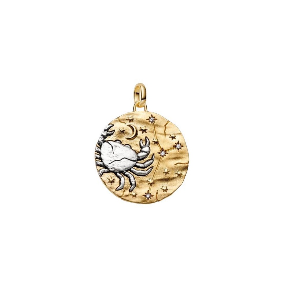 Charm Medallion XL Cancro Intuitio Animi [3c875ebe]
