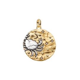 Charm Medallion XL Cancro Intuitio Animi [3c875ebe]