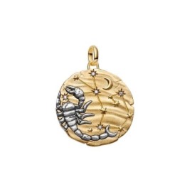 Charm Medallion XL Scorpione Noli Timere [b379f66c]