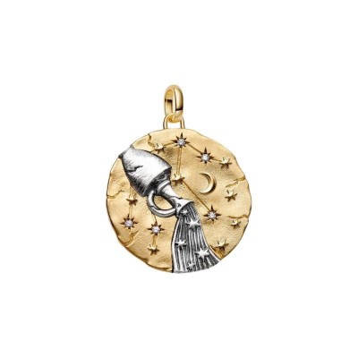 Charm Medallion XL Acquario Omnia Mutantur [34d52e6d]