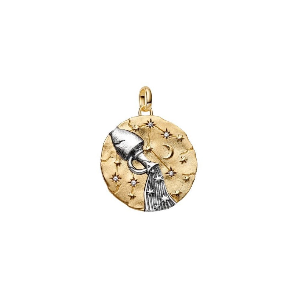 Charm Medallion XL Acquario Omnia Mutantur [34d52e6d]