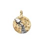 Charm Medallion XL Acquario Omnia Mutantur [34d52e6d]