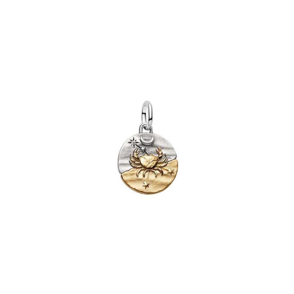 Charm Medallion Cancro [3adfa0df]