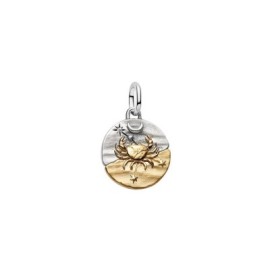 Charm Medallion Cancro [3adfa0df]