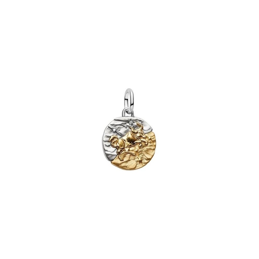 Charm Medallion Toro [283473db]