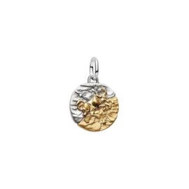 Charm Medallion Toro [283473db]