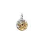Charm Medallion Toro [283473db]