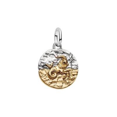Charm Medallion Capricorno [af98abda]