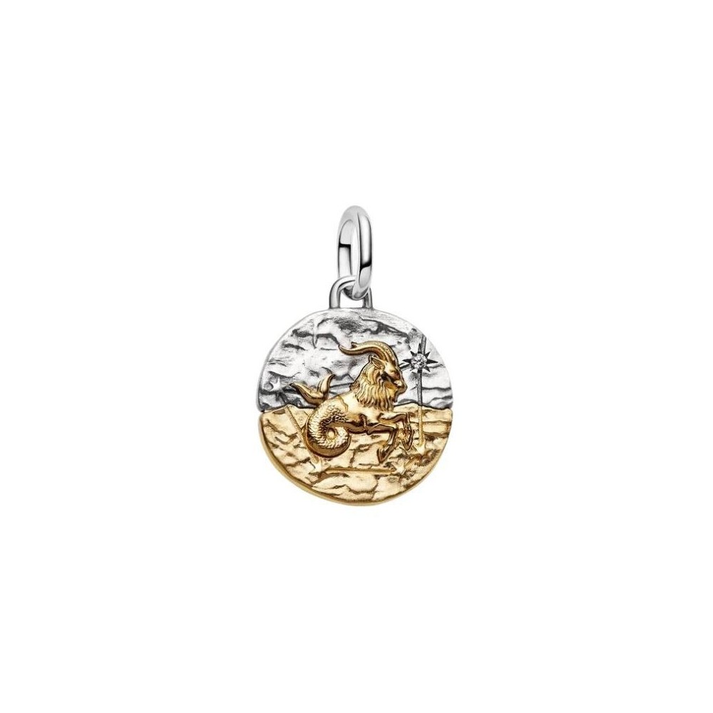 Charm Medallion Capricorno [af98abda]