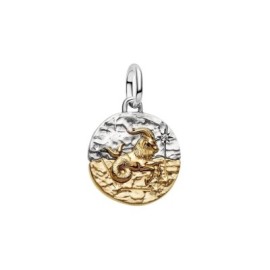 Charm Medallion Capricorno [af98abda]