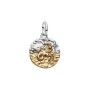 Charm Medallion Capricorno [af98abda]