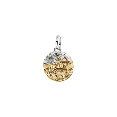 Charm Medallion Sagittario [266dc2d8]